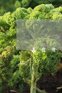 美团有人40万货款逾期