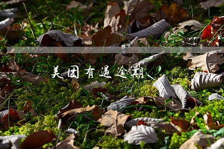 美团有过逾期 美团有过逾期