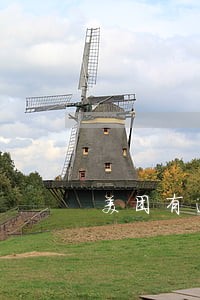 美团有逾期 美团有逾期