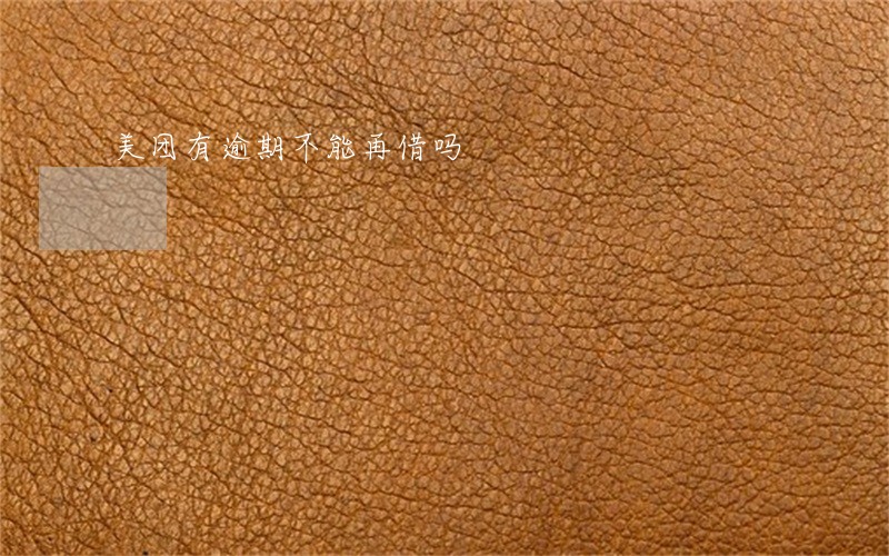 美团有逾期不能再借吗 美团有逾期不能再借吗