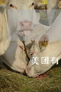 美团有逾期会影响我不 美团有逾期会影响我不