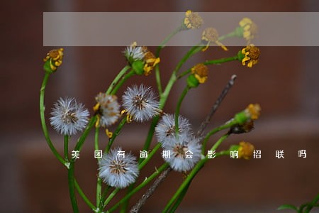 美团有逾期会影响招联吗 美团有逾期会影响招联吗