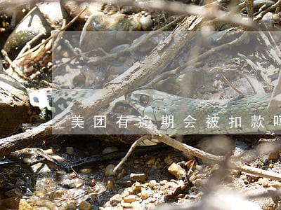 美团有逾期会被扣款吗 美团有逾期会被扣款吗