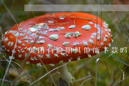 美团有逾期其他能下款吗 美团有逾期其他能下款吗
