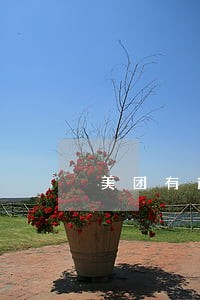 美团有逾期减免费用么 美团有逾期减免费用么