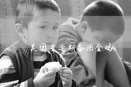 美团有逾期备用金吗 美团有逾期备用金吗