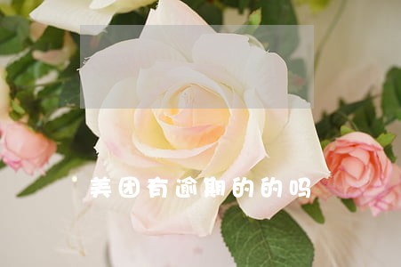 美团有逾期的的吗 美团有逾期的的吗