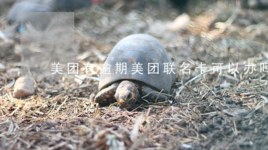 美团有逾期美团联名卡可以办吗 美团有逾期美团联名卡可以办吗