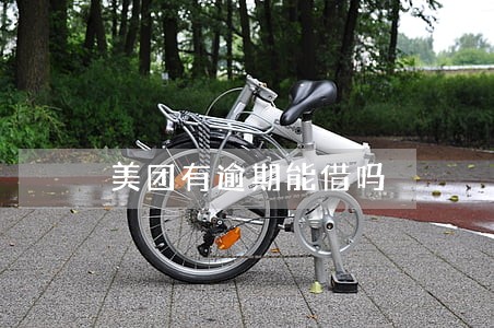 美团有逾期能借吗