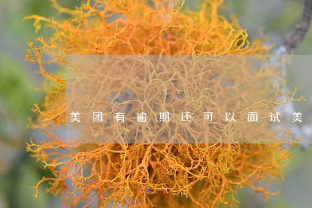 美团有逾期还可以面试美团吗 美团有逾期还可以面试美团吗