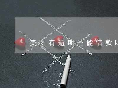 美团有逾期还能借款吗 美团有逾期还能借款吗