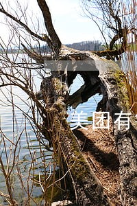 美团有钱花逾期 美团有钱花逾期