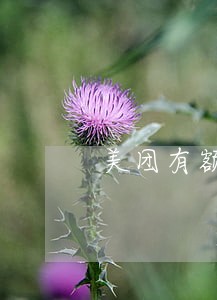美团有额度没逾期为什么借不了 美团有额度没逾期为什么借不了