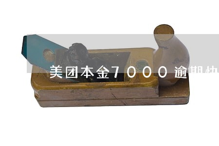 美团本金7000逾期快1年 美团本金7000逾期快1年