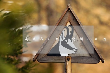 美团欠100逾期10天后怎么办 美团欠100逾期10天后怎么办
