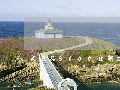 美团欠3000逾期2年了 美团欠3000逾期2年了