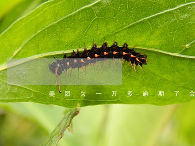 美团欠一万多逾期了会怎么样 美团欠一万多逾期了会怎么样