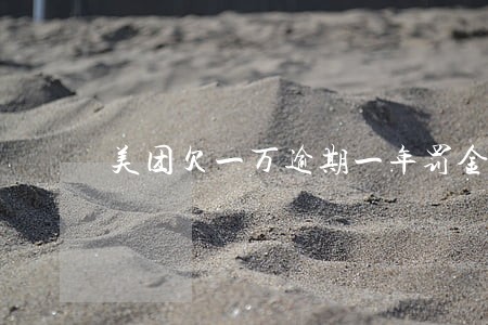 美团欠一万逾期一年罚金是多少 美团欠一万逾期一年罚金是多少