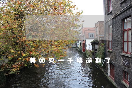 美团欠一千块逾期了 美团欠一千块逾期了