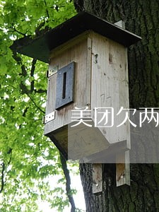 美团欠两万逾期怎么办
