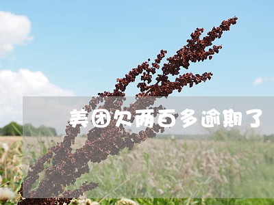 美团欠两百多逾期了 美团欠两百多逾期了