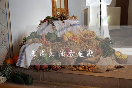 美团欠债务逾期 美团欠债务逾期
