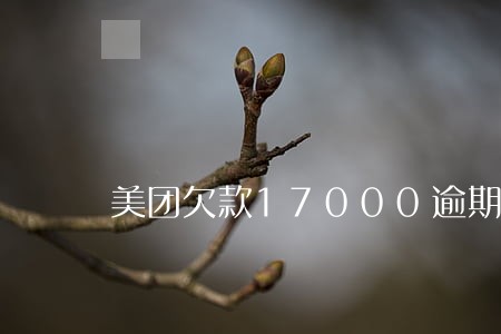 美团欠款17000逾期半年