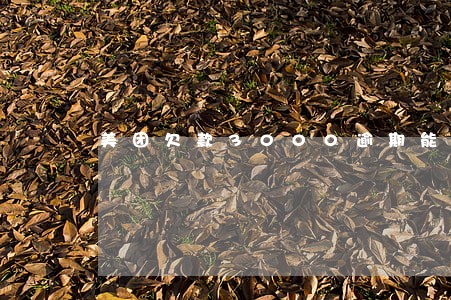 美团欠款3000逾期能立案吗 美团欠款3000逾期能立案吗