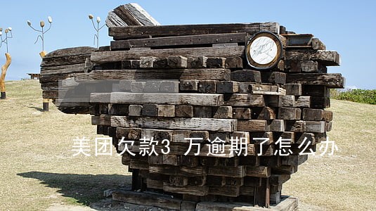 美团欠款3万逾期了怎么办 美团欠款3万逾期了怎么办