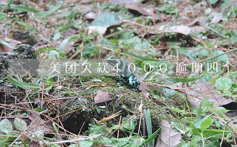 美团欠款4000逾期四个月