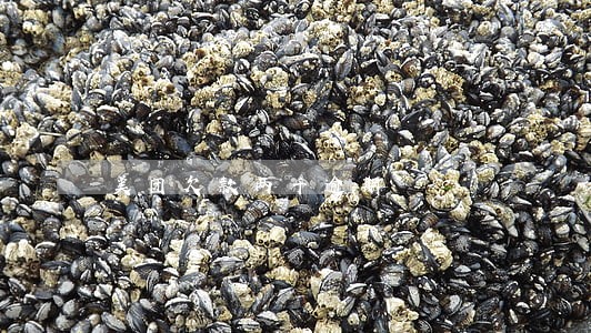 美团欠款两千逾期 美团欠款两千逾期
