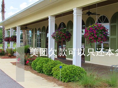 美团欠款可以只还本金吗 美团欠款可以只还本金吗