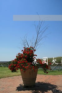 美团欠款逾期一天 美团欠款逾期一天