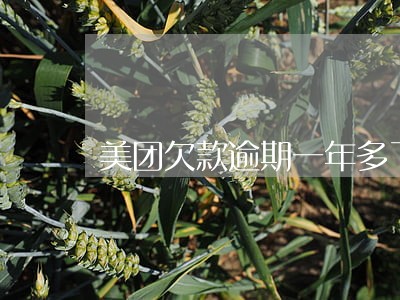 美团欠款逾期一年多了 美团欠款逾期一年多了
