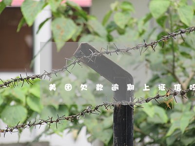 美团欠款逾期上征信吗 美团欠款逾期上征信吗