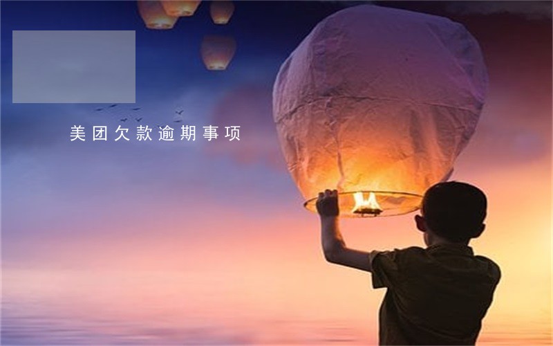 美团欠款逾期事项 美团欠款逾期事项