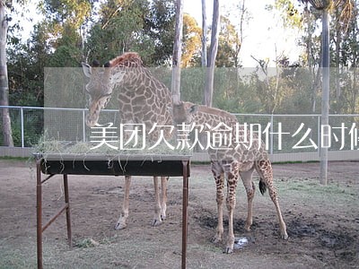 美团欠款逾期什么时候上门 美团欠款逾期什么时候上门
