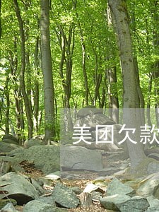 美团欠款逾期会上门吗 美团欠款逾期会上门吗