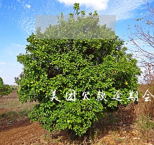美团欠款逾期会不会上门 美团欠款逾期会不会上门
