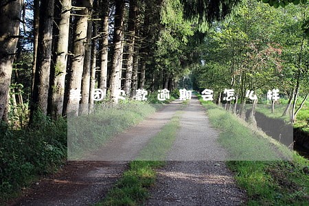 美团欠款逾期会怎么样 美团欠款逾期会怎么样