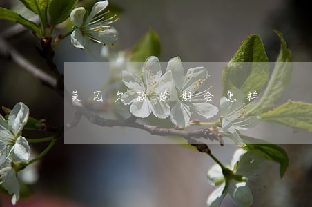 美团欠款逾期会怎样 美团欠款逾期会怎样