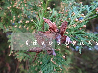 美团欠款逾期会联系公司吗 美团欠款逾期会联系公司吗