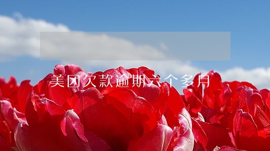 美团欠款逾期六个多月 美团欠款逾期六个多月