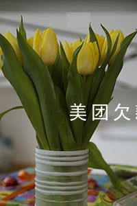 美团欠款逾期十天有事吗 美团欠款逾期十天有事吗