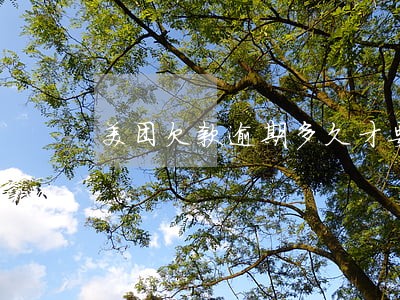 美团欠款逾期多久才要上征信 美团欠款逾期多久才要上征信
