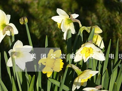 美团欠款逾期客服电话 美团欠款逾期客服电话