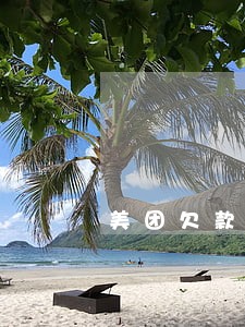 美团欠款逾期怎么偿还 美团欠款逾期怎么偿还