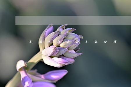 美团欠款逾期怎么处理 美团欠款逾期怎么处理