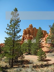 美团欠款逾期打电话催债