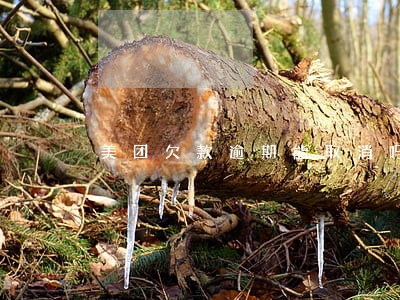 美团欠款逾期能取消吗 美团欠款逾期能取消吗